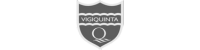 vigiquinta
